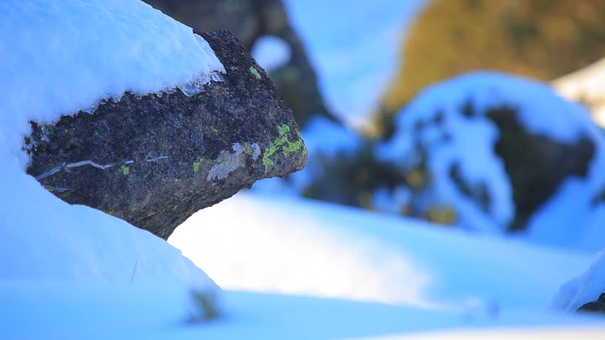 Header of bounder