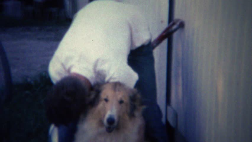Header of lassie