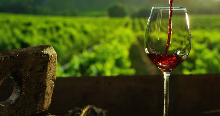 Sommelier In Wineyard Pouring Italian Stock Footage Video 100