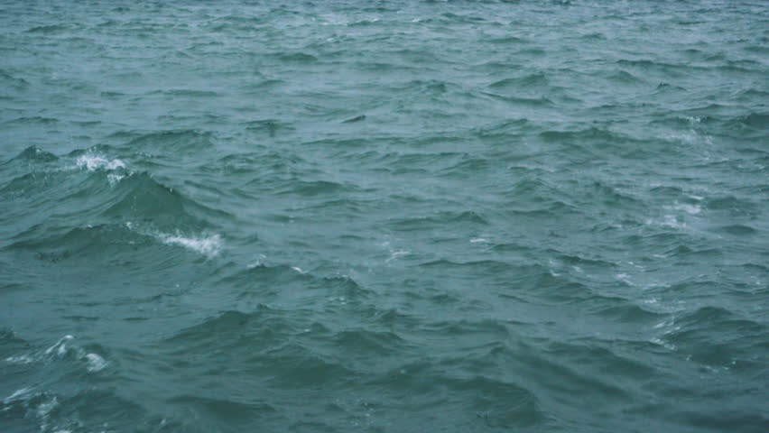 ocean waves realflow