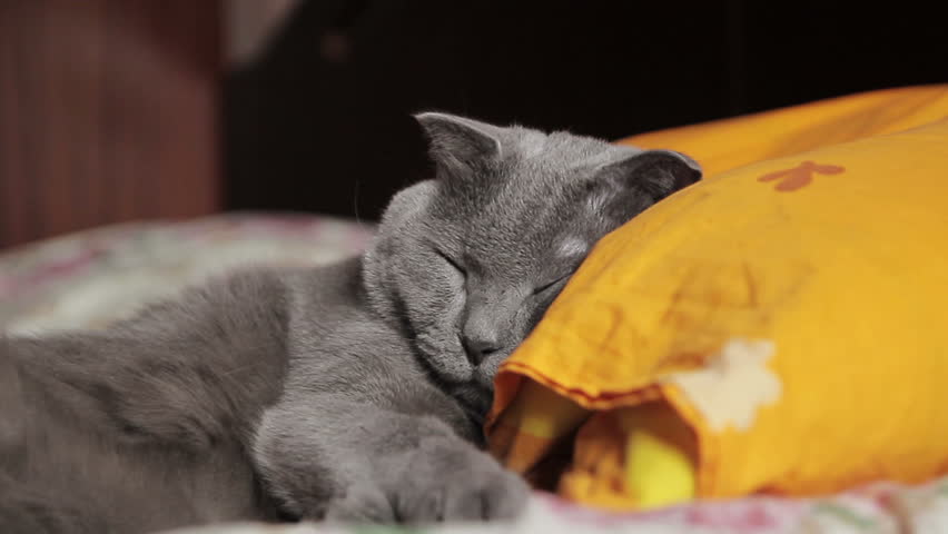 Header of pillow