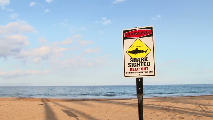 After A Non-fatal Shark Attack On Maui, Authorities Post Shark Sighting