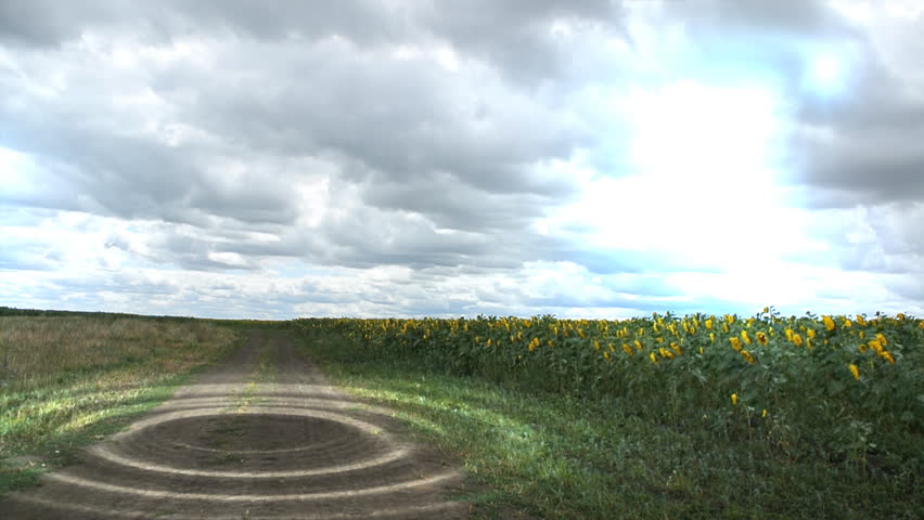 Header of eyewitness