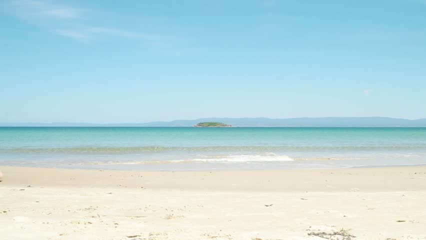 Header of tasmanian