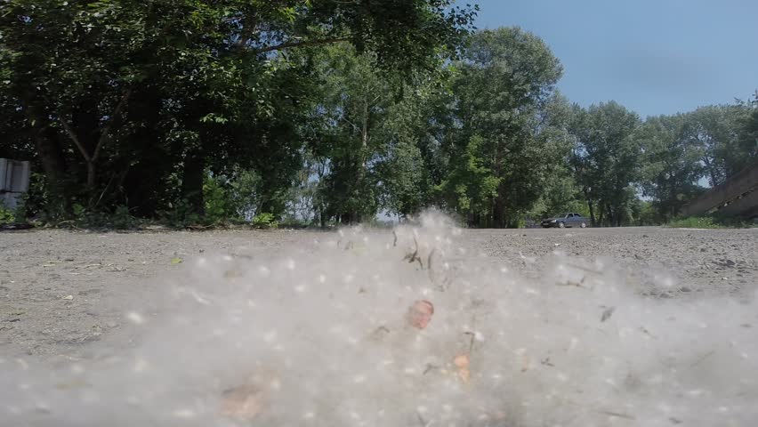 Header of deliberate