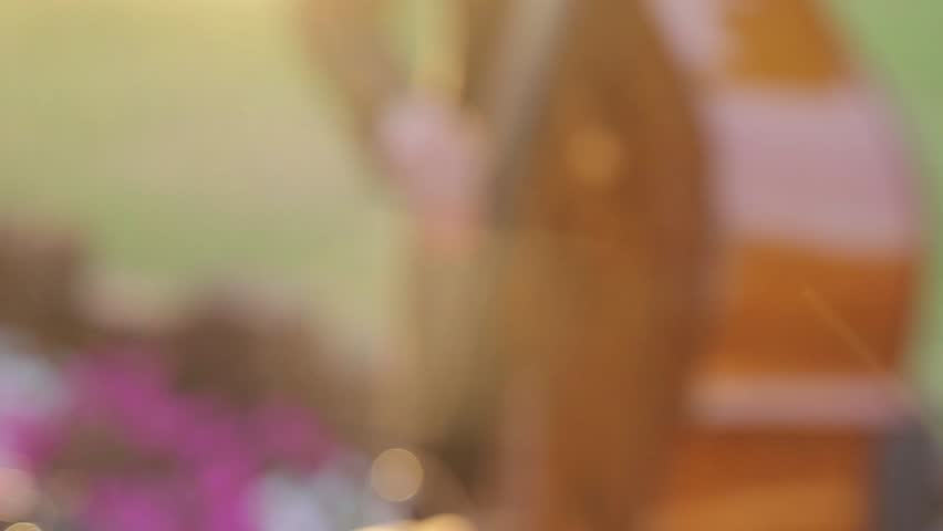 Header of violoncello