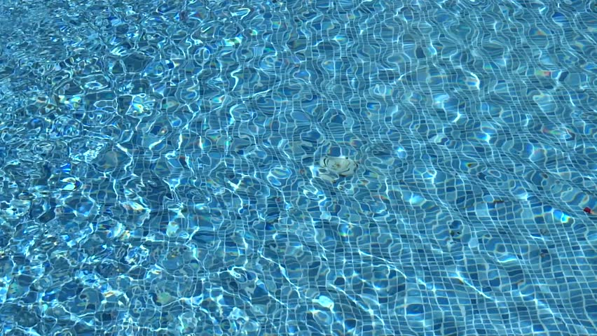 Pool Water Hd pool water background stock footage video 13611161 | shutterstock Pool Water Hd pool water background stock footage video 13611161 | shutterstock