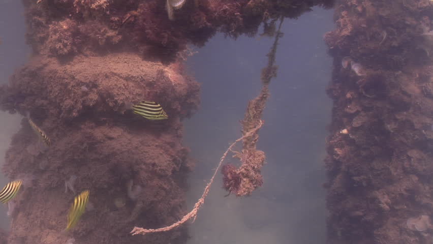 Header of gudgeon
