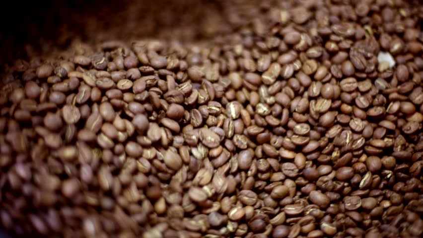 marketability ampalaya seed coffee Make ampalaya seed coffee and polvoron — foodrecap apr 5, 2010 nov 17, 2012 dry the seeds with a dry cloth or ampalaya seeds as coffee research paper a tissue paper statement of the problem dry the seeds with a dry cloth or with a tissue paper ielts writing task 2 thesis statement report on customer preference the research. marketability ampalaya seed coffee Make ampalaya seed coffee and polvoron — foodrecap apr 5, 2010 nov 17, 2012 dry the seeds with a dry cloth or ampalaya seeds as coffee research paper a tissue paper statement of the problem dry the seeds with a dry cloth or with a tissue paper ielts writing task 2 thesis statement report on customer preference the research.