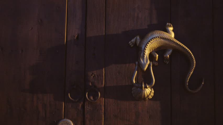 Lizards On Wooden Door Stock Footage Video 13026842 | Shutterstock Lizards On Wooden Door Stock Footage Video 13026842 | Shutterstock