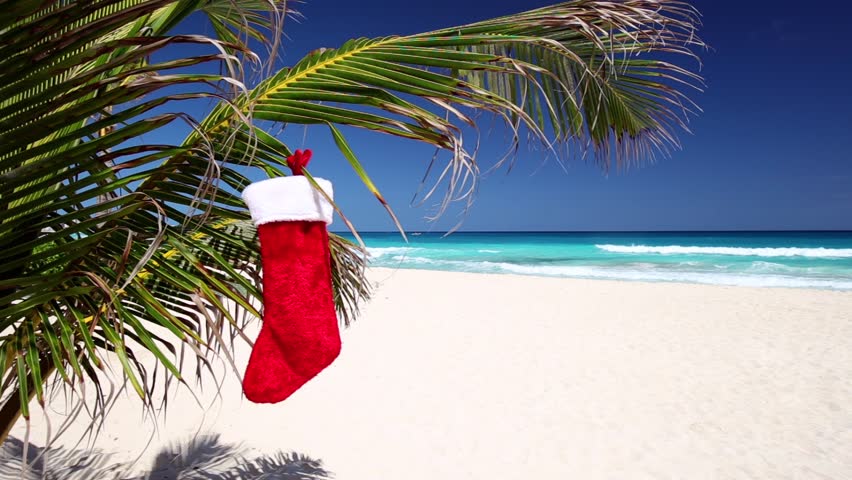 Christmas Stocking Hanging On Coconut Palm Tree Leaf At Tropical Sandy ...