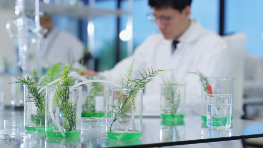 Image result for biology research