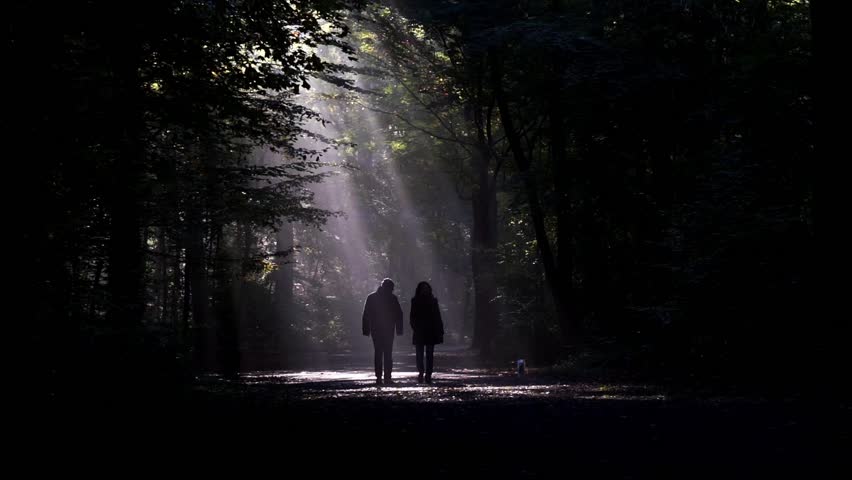 Couple Walking the Dog, Silhouetted Stock Footage Video (100% Royalty