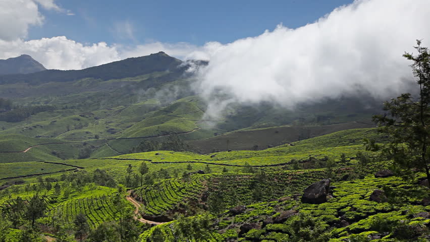 Hill Farm landscape in Munnar, India image - Free stock photo - Public ...