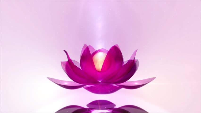Header of Lotus