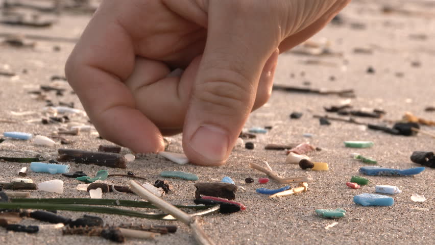 Immagine correlata TECO MILANO MICROPLASTICHE