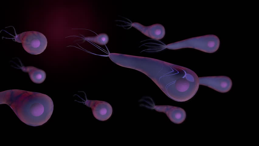 Header of clostridium