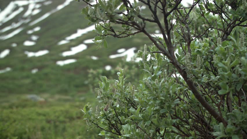 Header of 61