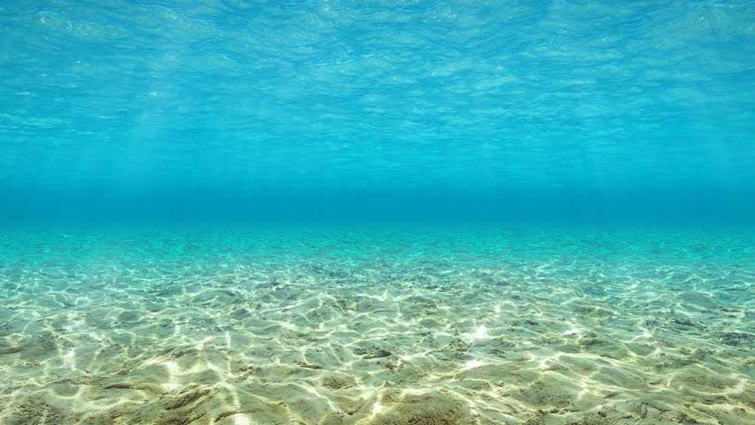 Similar to sand and rocks underwater Popular Royalty-Free Videos ...