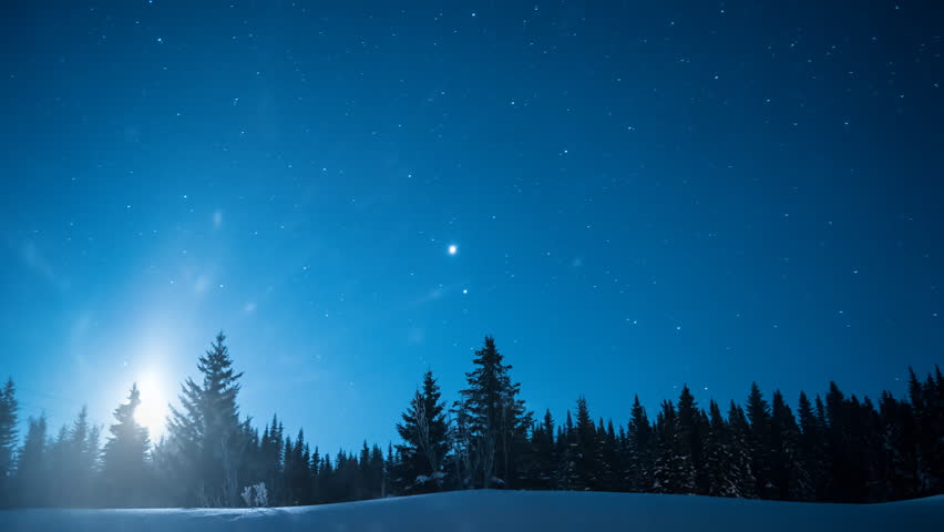 Night Sky Time Lapse Over Pine Trees Stock Footage Video 12617324 ...