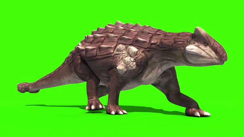 ankylosaurus 3d google