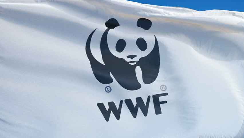 Wildlife fund. Всемирный фонд дикой природы WWF. Всемирный фонд дикой природы логотип. Флаг WWF. Знаменитой эмблемы Всемирного фонда охраны дикой природы..