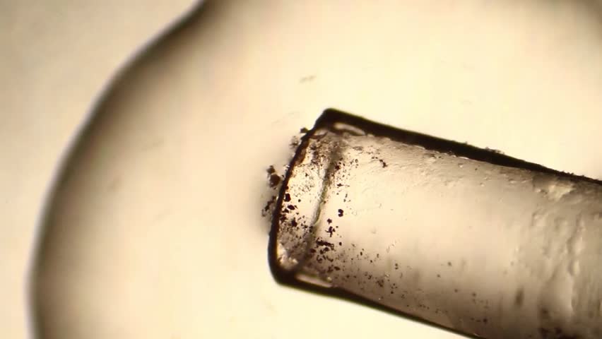Header of inoculum