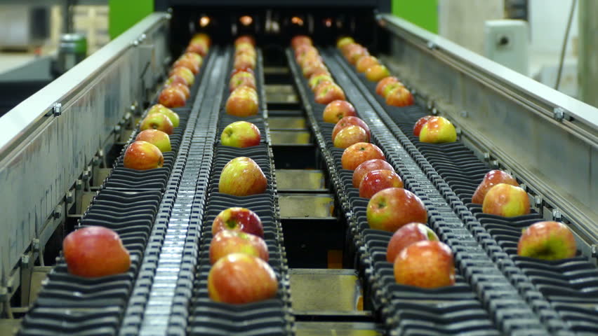 Apple Grading Machine, Apples Sorted Stock Footage Video (100% Royalty ...