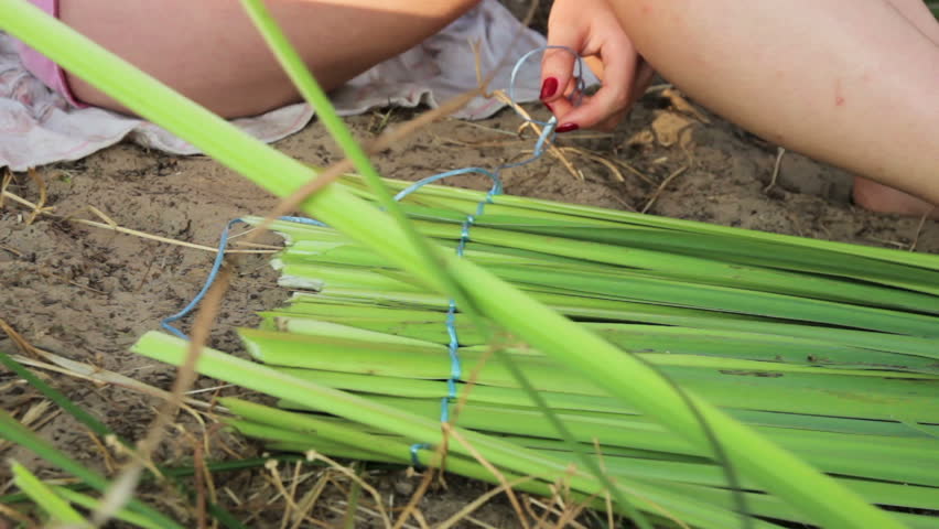 Header of air plant