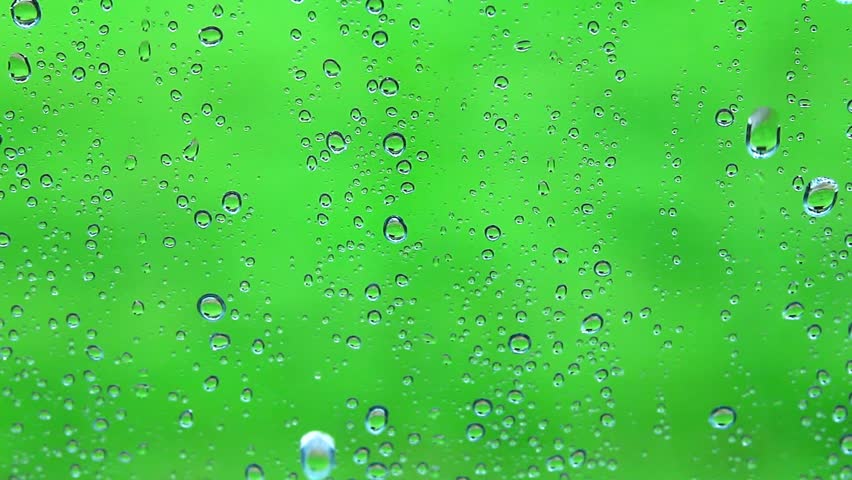 Raining Drop Green Background Stock Footage Video (100% Royalty-free)  2584964 | Shutterstock