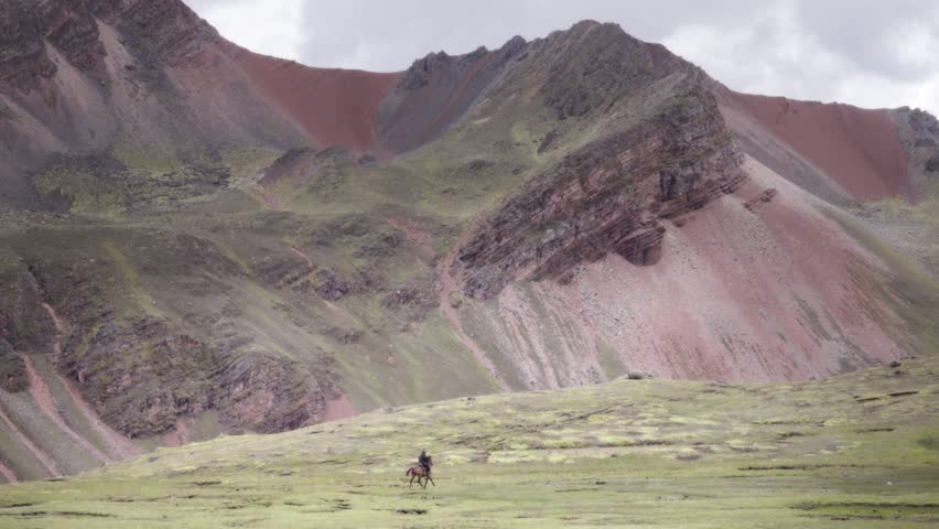 Header of muleteer
