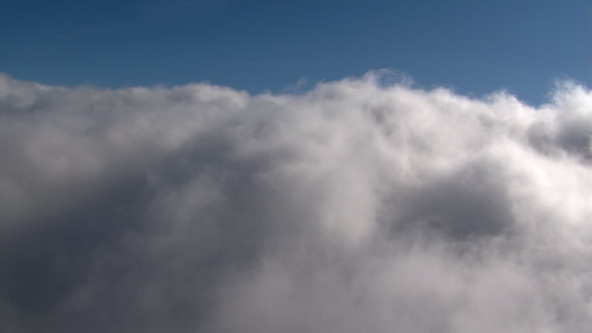 Header of cottony
