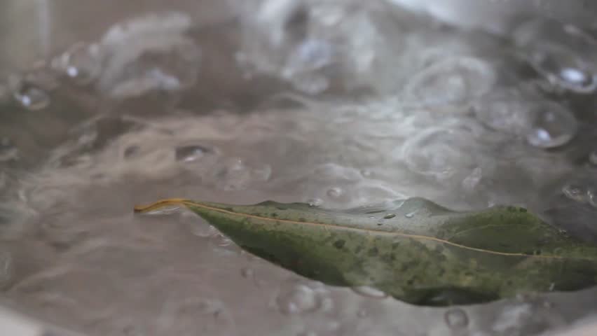 Header of bay leaf