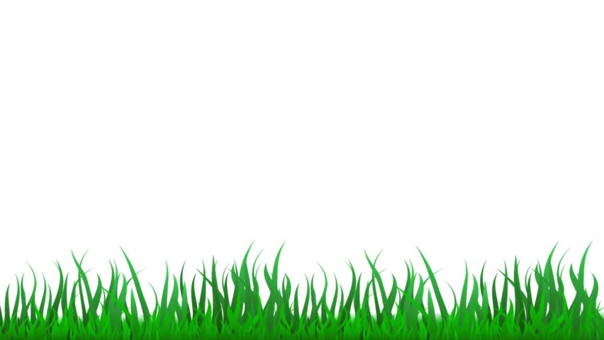 Animated Grass Stock Footage Video 40085 | Shutterstock