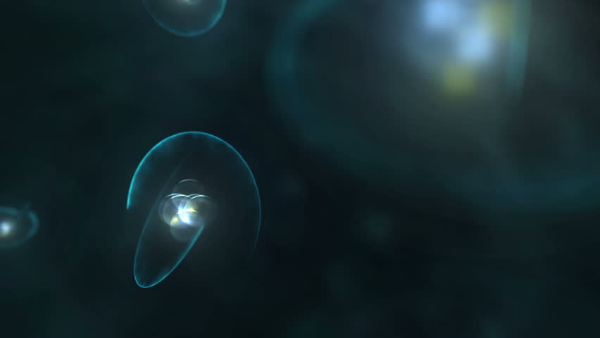 Header of lithium