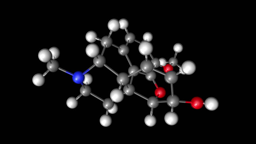 Testosterone Molecule Model Ball And Stick Rotating. Testosterone Is A ...