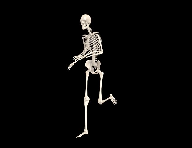 Xray Of 2 Human Skeleton Fighting In A Sword Combat. 3d Rendering Like ...