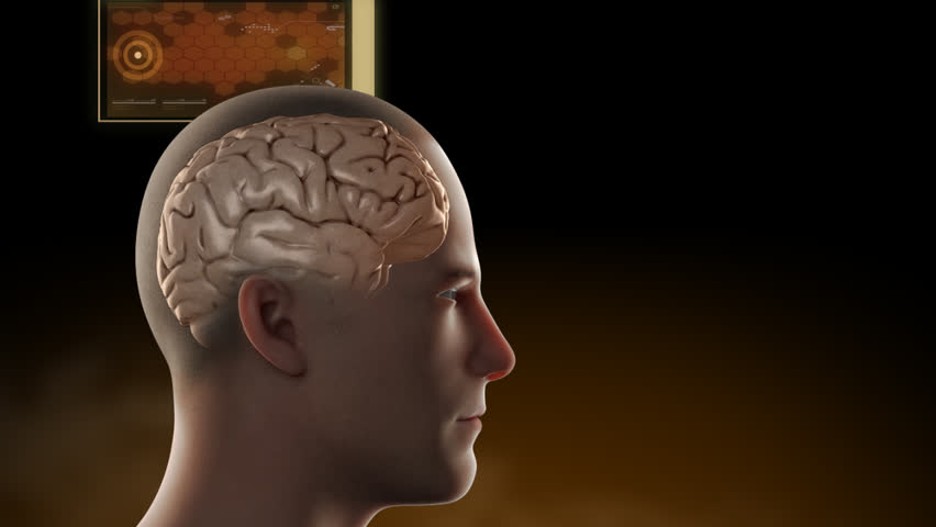 360 Degree Rotational View Of Semi Transparent Human Man Male