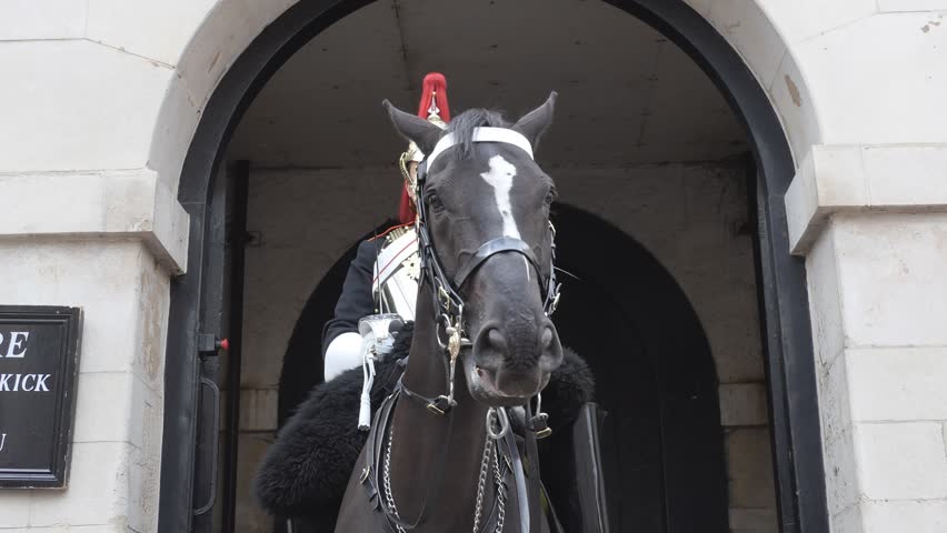 Header of cavalryman