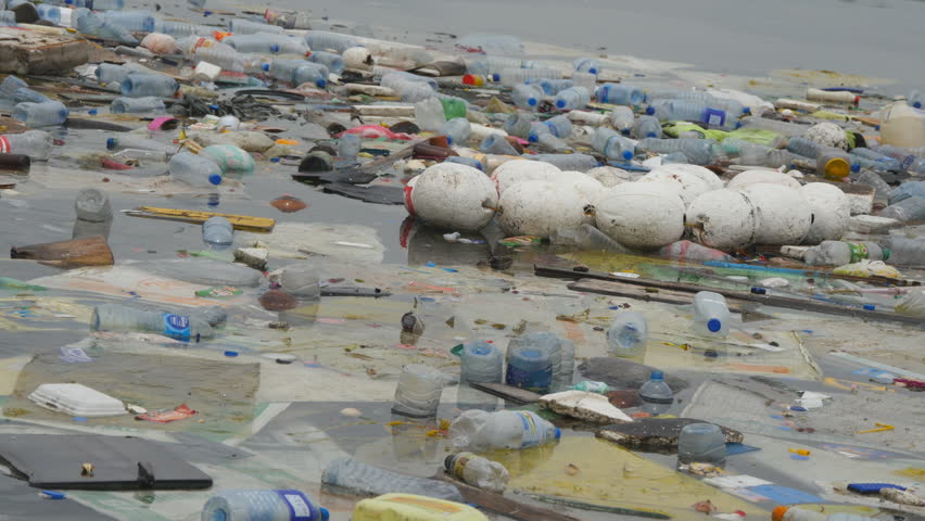 environment pollution and impure water environment pollution and impure water