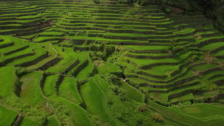 Batad Rice Terrace, Aerial View Of Ancient Ifugao Rice Terraces Carved ...