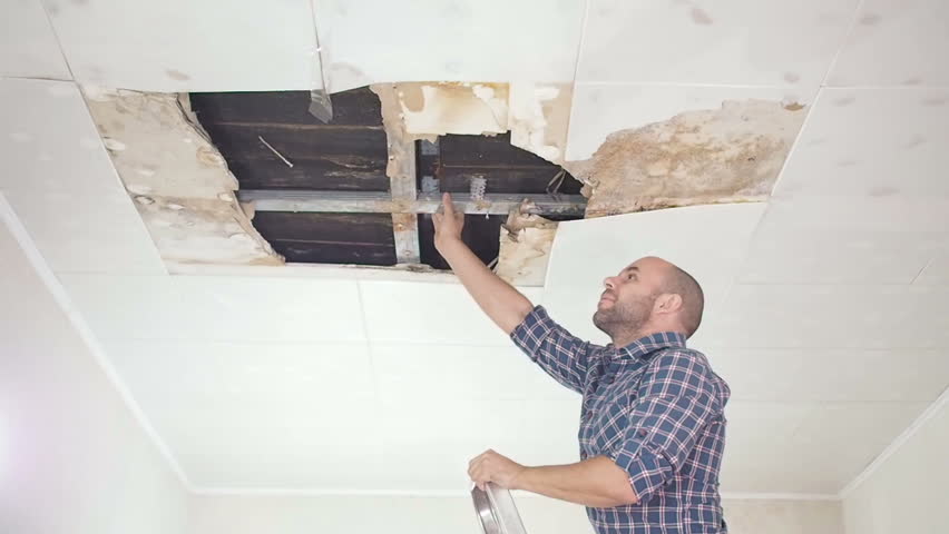 Young Man Call On The Arkivvideomateriale 100 Royalty Fritt