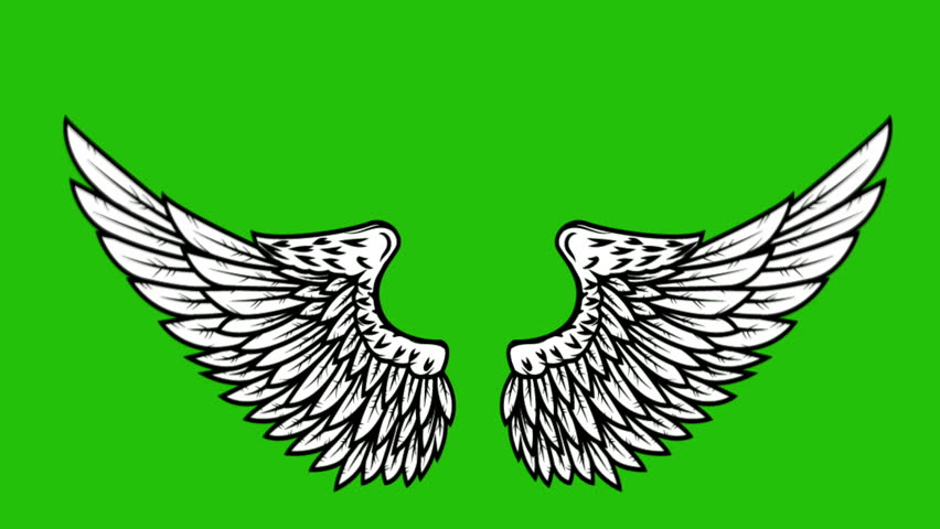 Animation Of Flying Wings On Green Background Angel Wings Animation