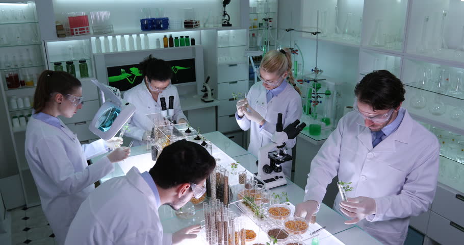 an examination of genetically engineered plants Start studying microbiology-biotechnology & dna ch 9 learn these pathogen proteins are being produced by genetically engineered plants have toxin. an examination of genetically engineered plants Start studying microbiology-biotechnology & dna ch 9 learn these pathogen proteins are being produced by genetically engineered plants have toxin.