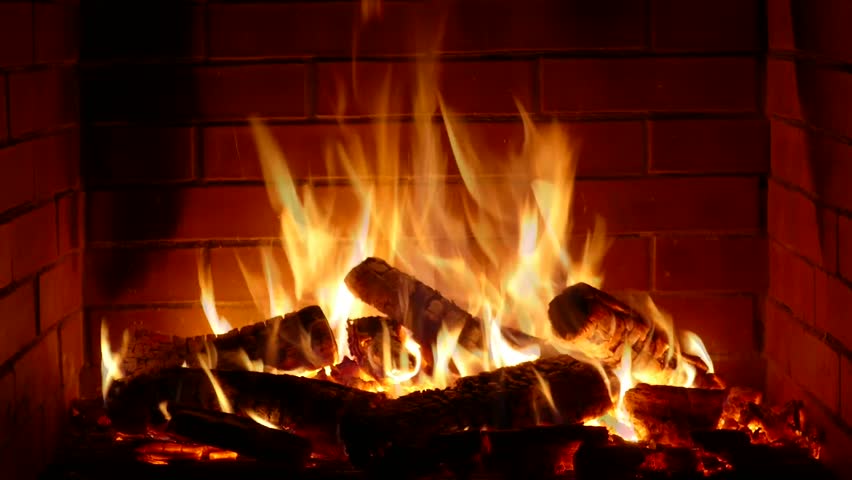 Campfire In The Night. Burning Logs In Orange Flames Closeup ...