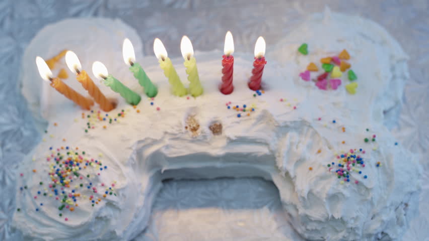 dog bone shaped cake