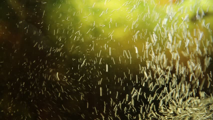 Header of Aeration