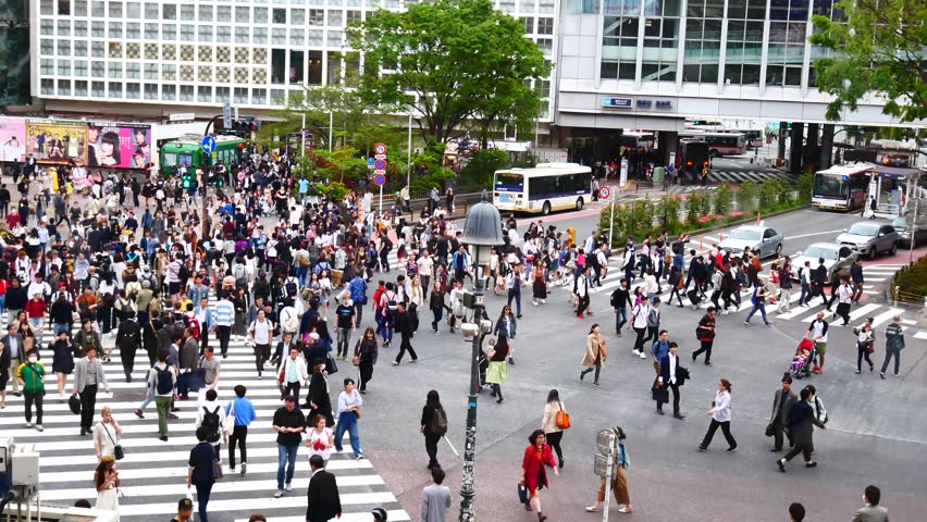 What to do in japan in april