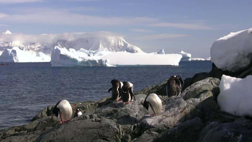 what is the future of antarctica It should not be developed in the future because it is the earth's last wilderness. what is the future of antarctica It should not be developed in the future because it is the earth's last wilderness.