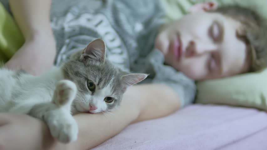 Tidur Satu Kasur dengan Kucing, Baik atau Buruk?
